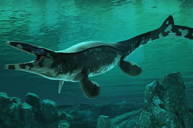 Paleontologists Discover an Ancient Marine Reptile They've Dubbed the T. Rex of the Sea, Crowning Another King of the Cretaceous