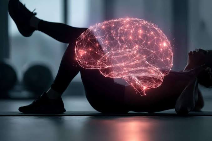 Abdominal Movement Flushes Neural Waste