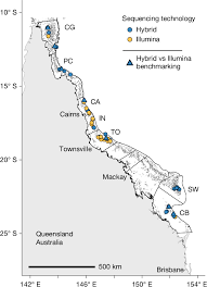 The planktonic microbiome of the Great Barrier Reef