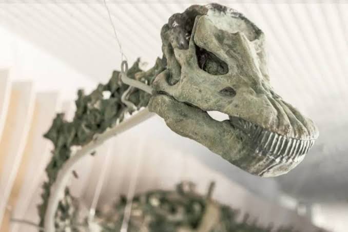 Los Angeles' Natural History Museum is home to the world’s only green-boned dinosaur fossil — it's also the largest museum of its kind on the West Coast