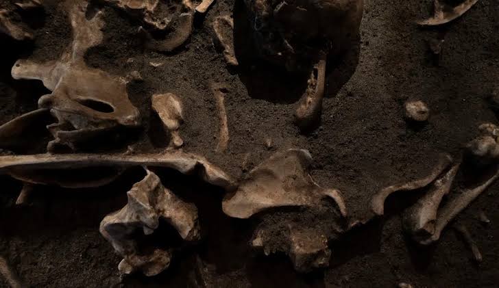 Scientists find scorched bones deep inside South African cave, suggesting early humans tended fire nearly 1.8 million years ago