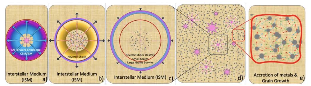 Supernova dust may be behind one of JWST's biggest puzzles