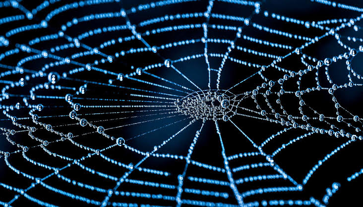 New map of the cosmic web is the most detailed ever