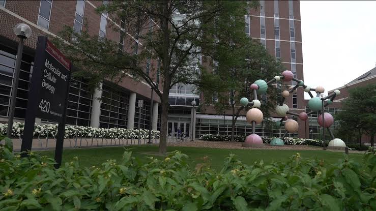 Scientists create first synthetic cell from scratch