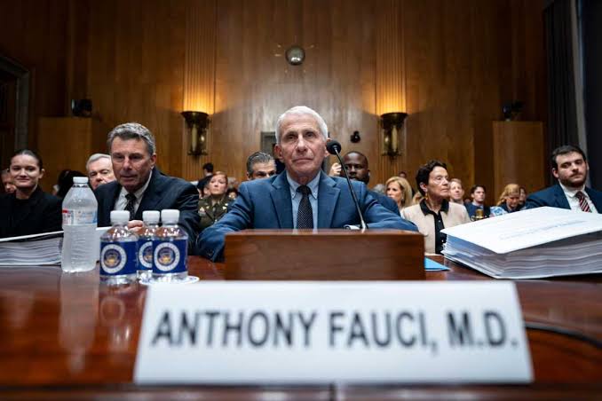 After Fauci Senate hearing, experts worry about 'chilling effect' on public health