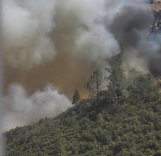 Dove Fire: Mandatory evacuations prompted by vegetation fire in Tuolumne County