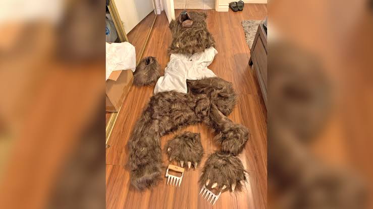 3 Southern California residents sentenced in bear suit insurance fraud scheme