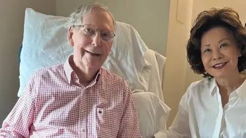 US Senator Mitch McConnell says absence due to fall and pneumonia