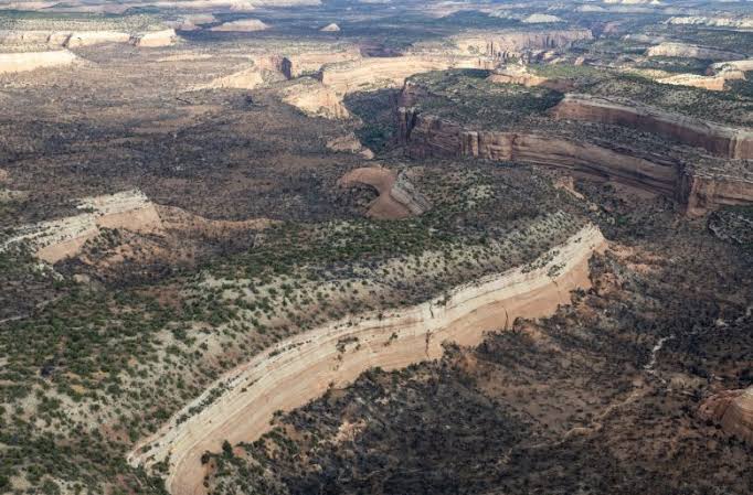 Fourth firefighter dies from injuries sustained in Knowles wildfire in western Colorado