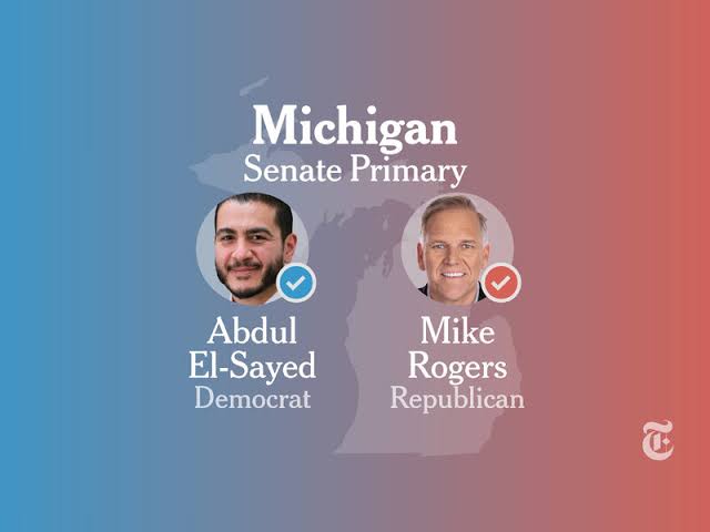 Michigan U.S. Senate Primary Election Results
