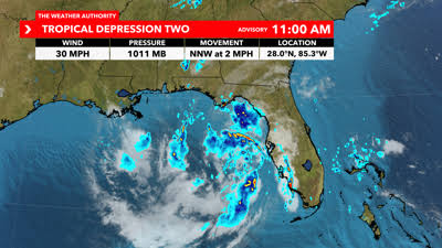 Tropical depression 2 has formed in the Gulf