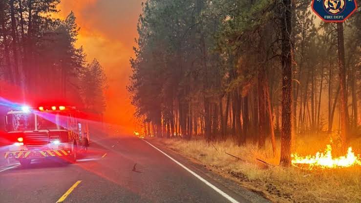 Spokane County fires destroy 700 structures, force up to 65,000 evacuations