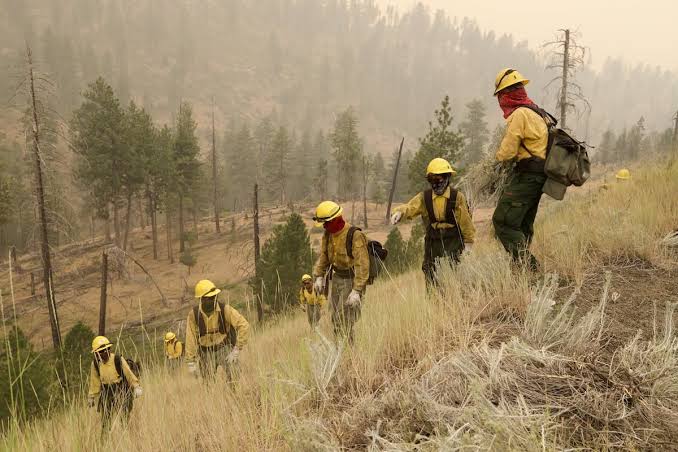 Wildfire updates: Emergency Conflagrations invoked for Beachcomb & Bench fires and 2nd Flat Fire - 9th & 10th this year