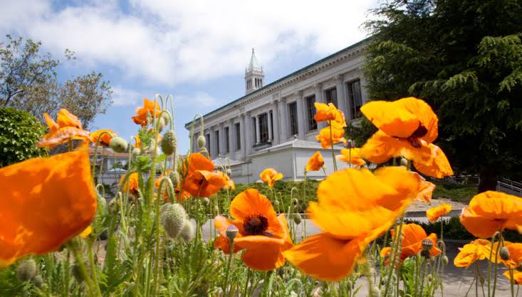 UC Berkeley named top public university in the U.S. and No. 7 in the world by ‘U.S. News’