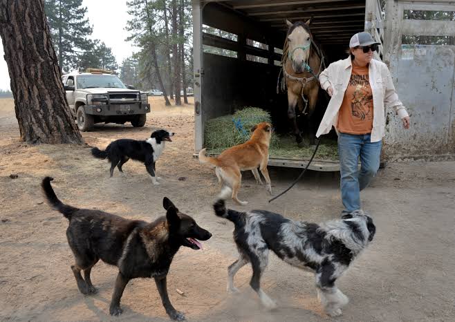 Oregon ranchers race to protect cattle from Grasshopper Fire