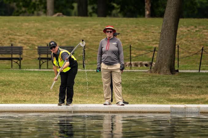 Column | At this point, the Reflecting Pool deserves an Emmy