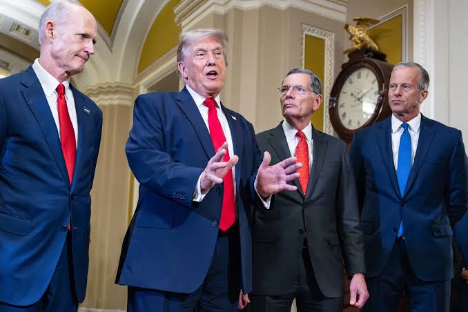 ‘Mad as a Murder Hornet’ Trump Squabbles With Disaffected Senate