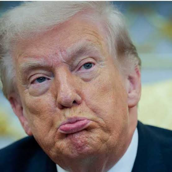 MS NOW drops excruciating supercut of Republicans surrendering on the economy