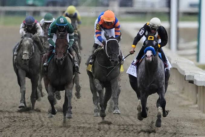 Napoleon Solo holds off Iron Honor to win the Preakness