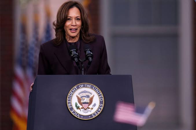 4 takeaways from the DNC's long-awaited 2024 election autopsy report