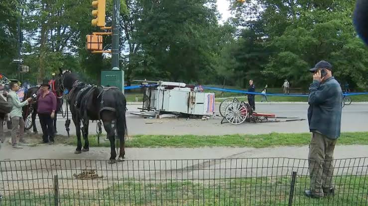 Passenger, 18, dies after runaway horse carriage crash in Central Park