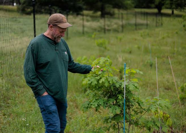 The Forest Service wants to close research hubs to save money. That could be costly