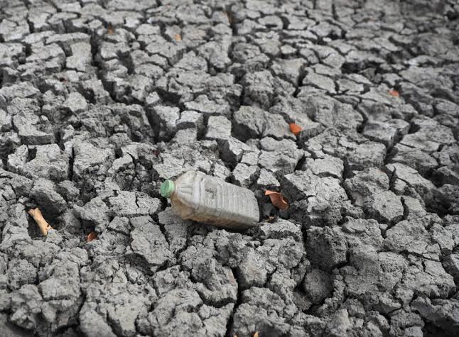 El Nino is here. It'll be big, bad and costly, scientists fear