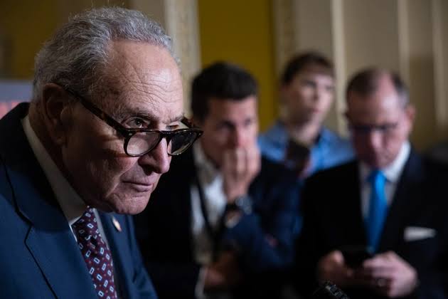 ‘I’m staying out of Maine’: Chuck Schumer sidelines himself with the Senate majority on the line