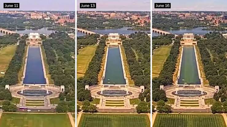 Reflecting Pool algae bloom is one of biggest recorded in years after $14M renovation