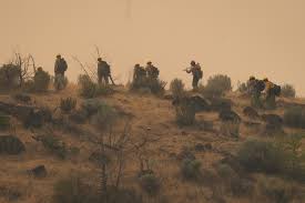 Live updates: Oregon wildfires explode with no signs of slowing down