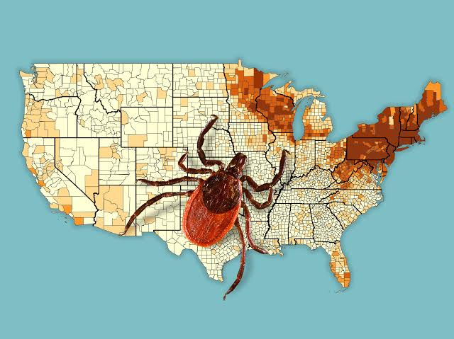 Tick bites surge, sending many to ER. Maps show where.