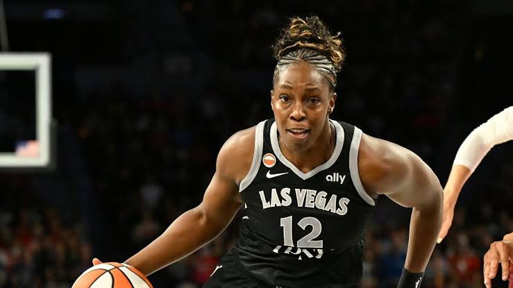 Fan fired after alleged racist message to Aces' Chelsea Gray