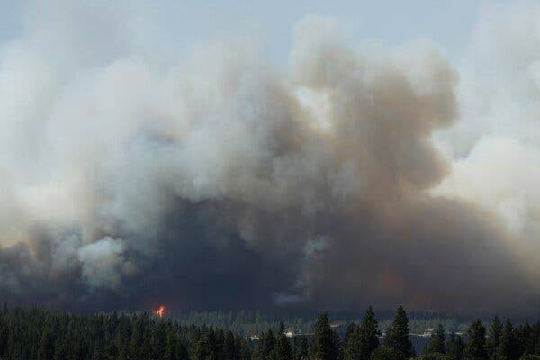 More Than a Dozen Wildfires Burn in Washington State, Forcing Evacuations
