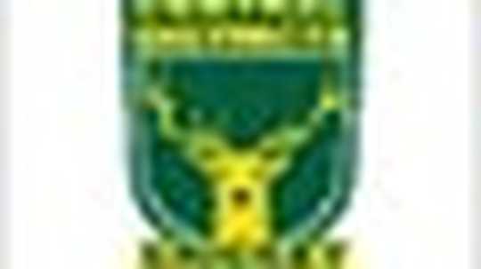 Central Districts