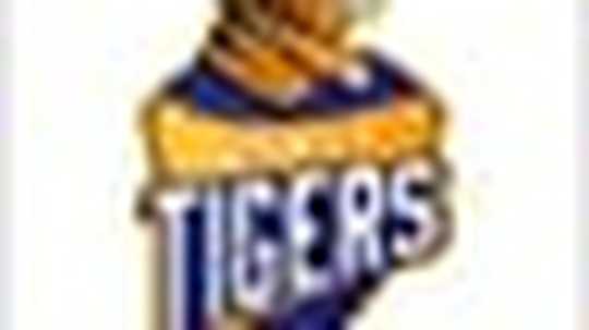 Hubli Tigers