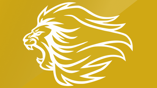 Chennai Super Kings