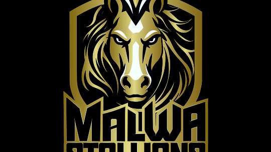 Malwa Stallions